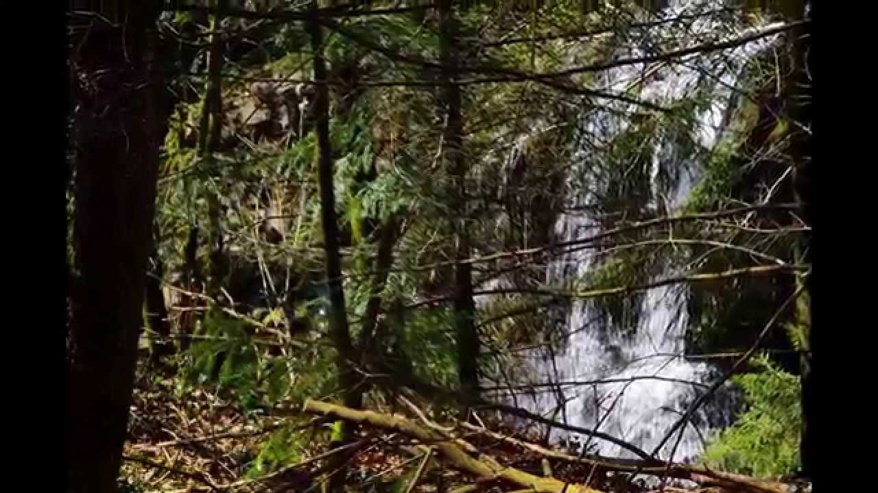 Taipana Magical Land