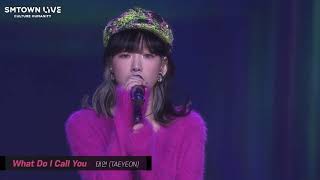 Taeyeon - What Do I Call You (SMTOWN Culture Humanity Concert)