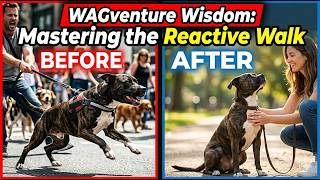Stop the Lunging! 3 Simple Ways to Calm Your Reactive Dog