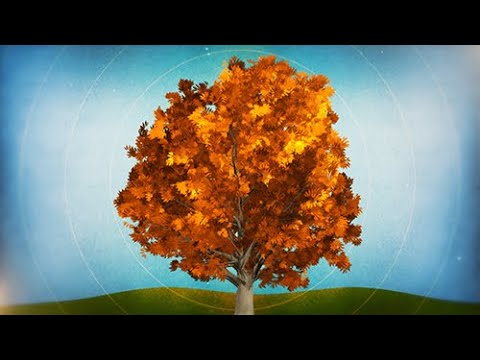 Motion Background Video Blog