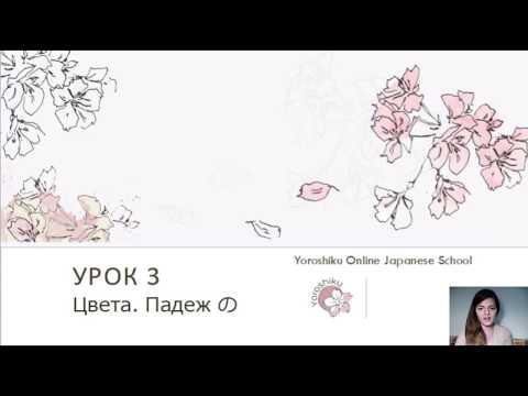 Урок 3. Падеж の [no]