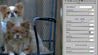 (3 of 17) Photoshop CS3 Workflow for Photographers