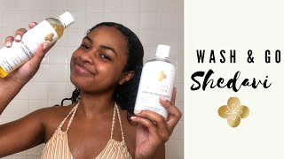 Trying Shedavi Hair Care | Logan Michaela