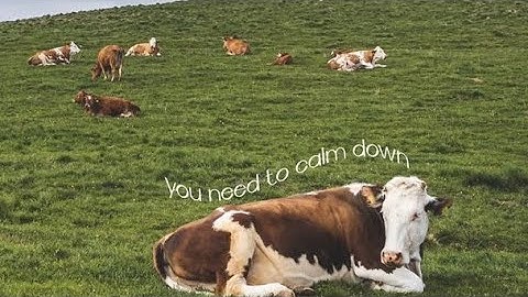 Divide and Conquer | Data Structures and Algorithms