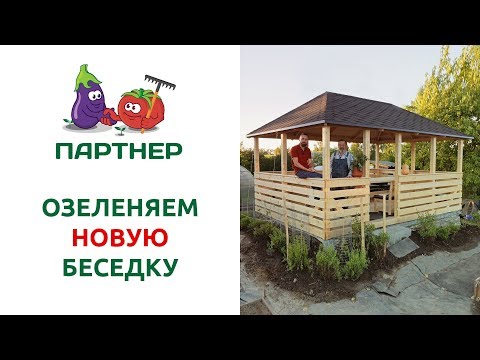 ОЗЕЛЕНЯЕМ НОВУЮ БЕСЕДКУ