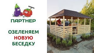 ОЗЕЛЕНЯЕМ НОВУЮ БЕСЕДКУ