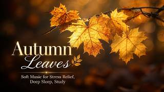 Healing Guitar & Autumn Leaves 🌿 Soft Music for Stress Relief, Deep Sleep, Study screenshot 2