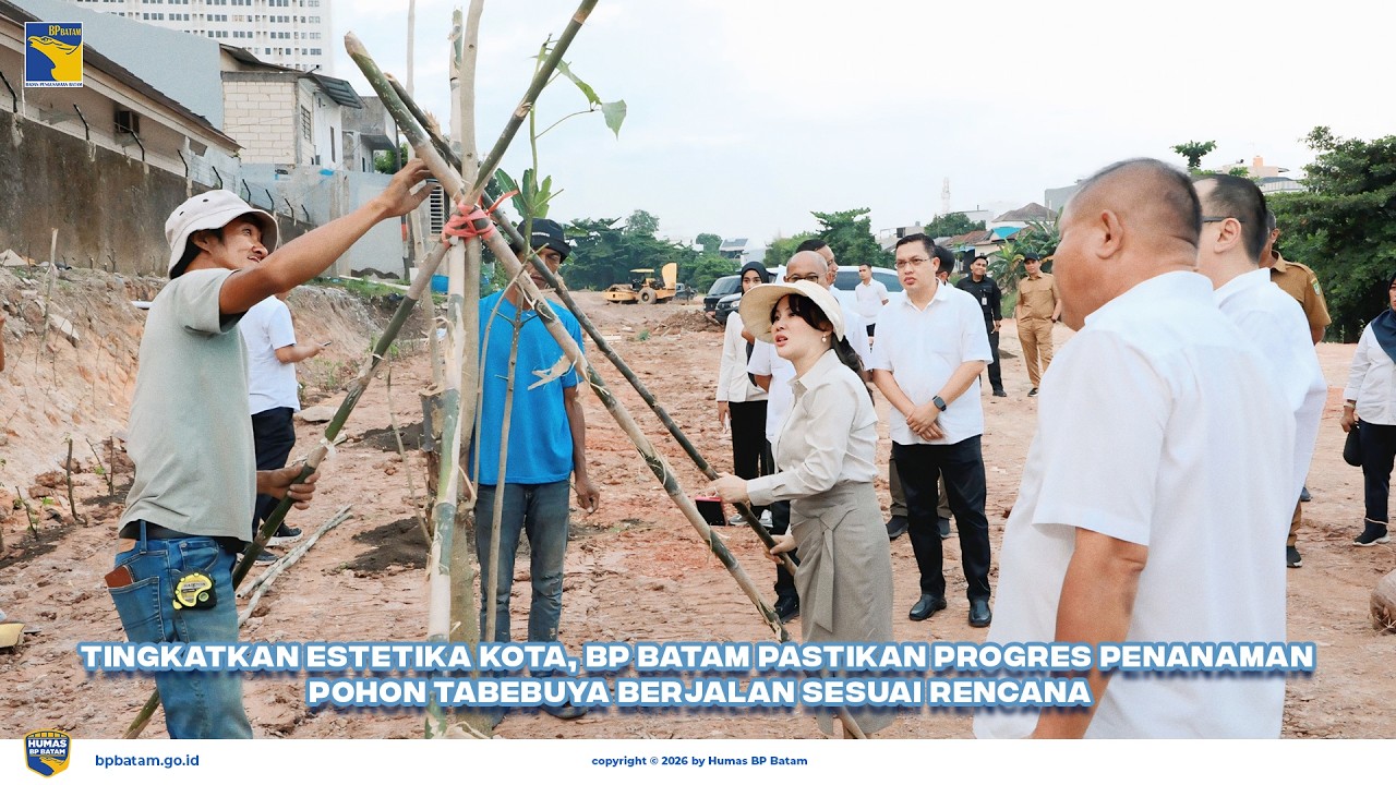 Tingkatkan Estetika Kota, BP Batam Pastikan Progres Penanaman Pohon Tabebuya Berjalan Sesuai Rencana