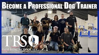 Become a Professional Dog Trainer at The Tom Rose School