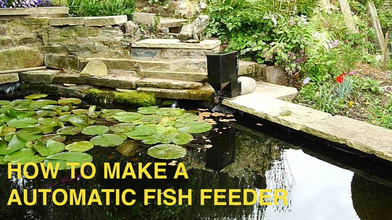 diy fish feeder diy fish feeder