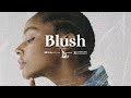 [FREE] Burna Boy x Wizkid x Tems x Afroswing Type Beat 2024 "BLUSH" | Afrobeat Instrumental