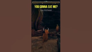 Exploring a cave | OUTER WORLDS