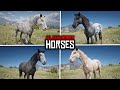All GANG Member Horses in Red Dead Redemption 2