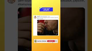 Herkes Suya Düştü Şacakbudeniz