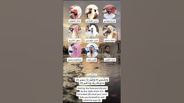 والضحى #سورة_الضحى #هزاع_البلوشي #ناصر_القطامي #ماهرالمعيقلي #هيثم_الدخين #ياسر_الدوسري #رحالكو