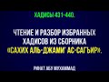 44. «Сахих аль-Джами’ ас-Сагъир». Хадисы  || Ринат Абу Мухаммад