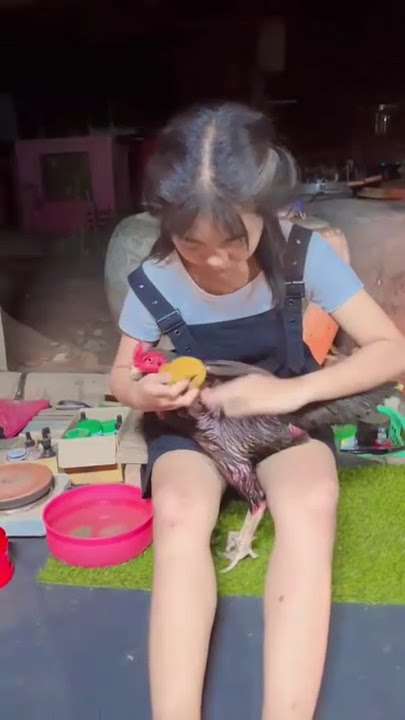 botoh cewek mandikan ayam #shortvideo