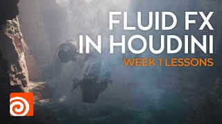 Fluid Fx In Houdini  |  Week1 lessons from SONY FX Supervisor