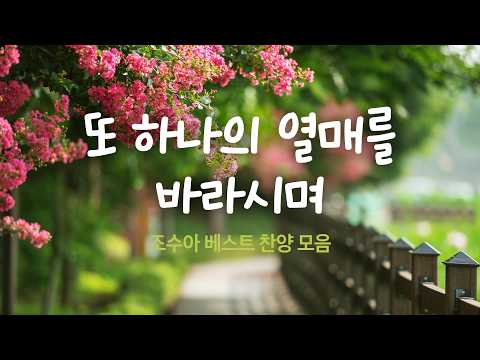 또 하나의 열매를 바라시며 / 조수아 베스트 찬양 모음