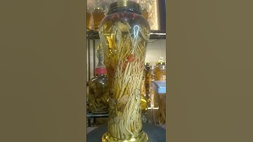 cá ngựa ngâm rượu. Zalo:0️⃣3️⃣8️⃣9️⃣9️⃣9️⃣0️⃣4️⃣1️⃣6️⃣ #cá_ngựa #cángựa #cangua #cá_ngựa_ngâm_rượu