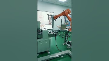 Robot hand cookie biscuit bag inserting carton box packing machine