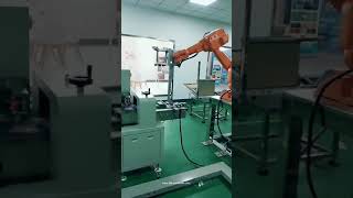 Robot hand cookie biscuit bag inserting carton box packing machine