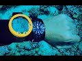 A diver's guide to dive watches!