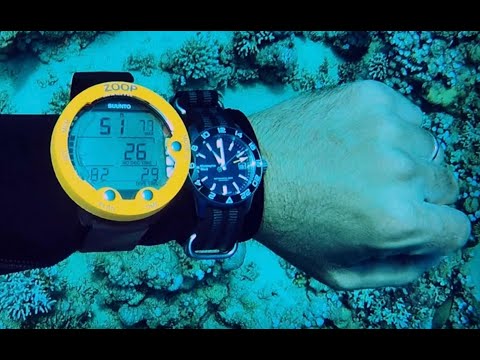 Video: How To Choose A Diving Watch