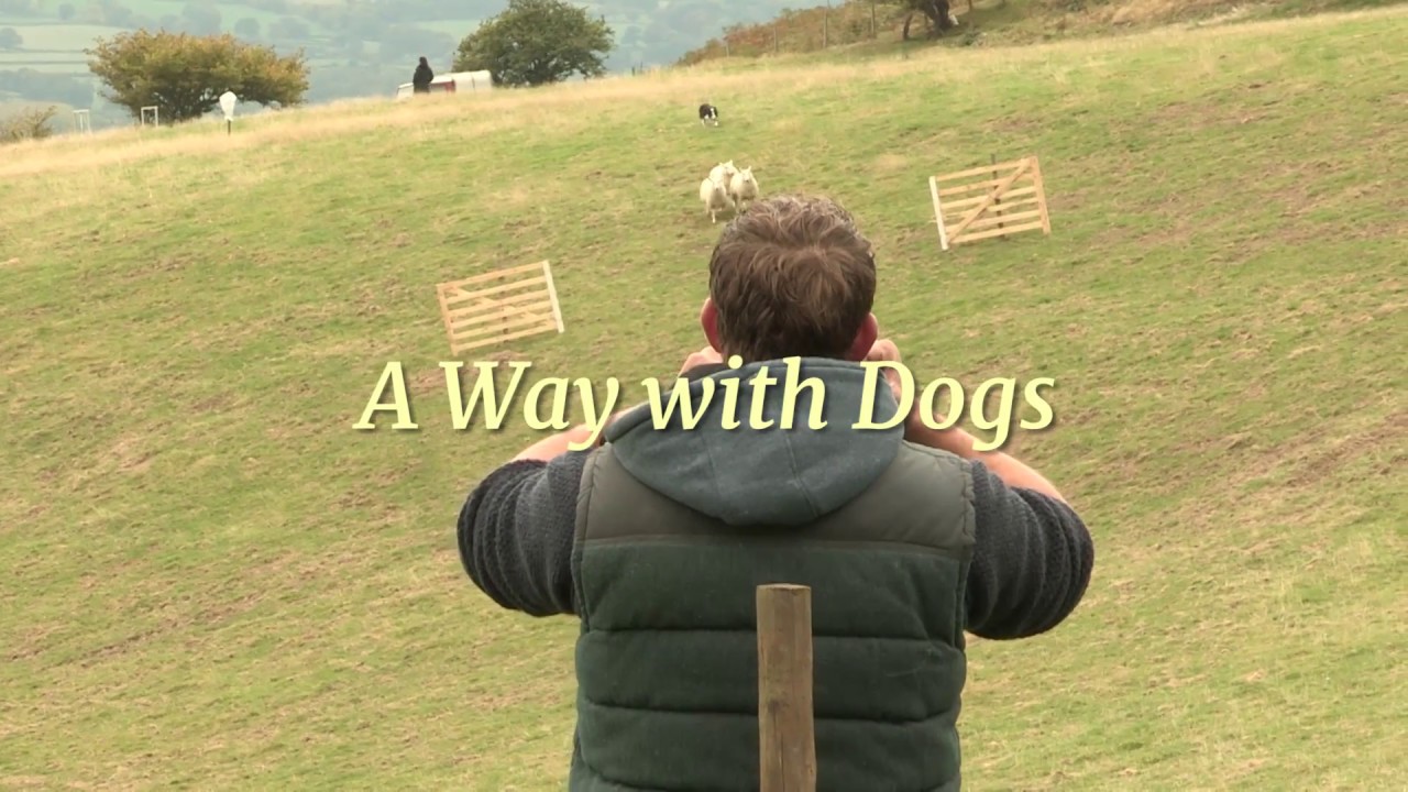 A Way with dogs - Ad 2 - YouTube