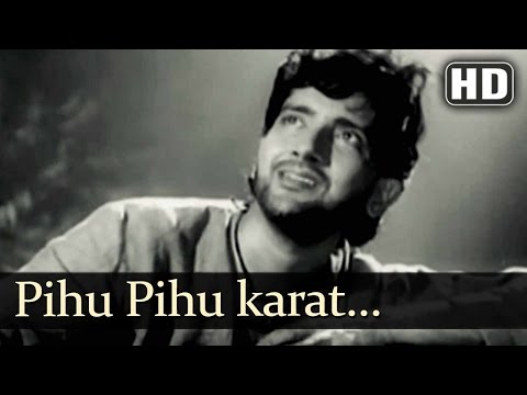 Starring pihu : Hostzin.com - music search engine
