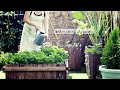 Welcome to my Sky Garden! | Urban Gardener | Balcony Garden | Garden Tour | Smoked Duck breast pasta