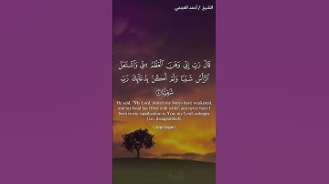 تلاوة خاشعة مؤثره للشيخ احمد العجمي #تلاوة_خاشعة #اكسبلور #القرآن_الكريم #quran #قرآن 🥺♥