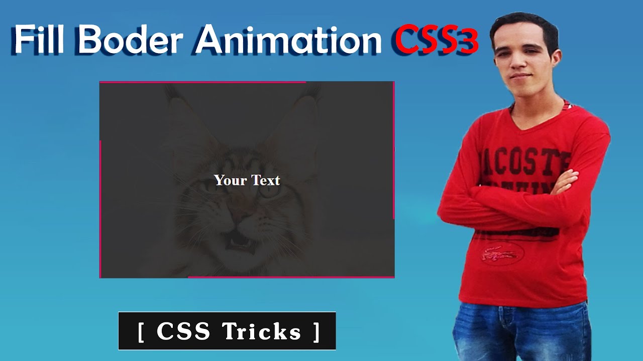 Image Fill Border Animation Effect on Hover using CSS3 - YouTube