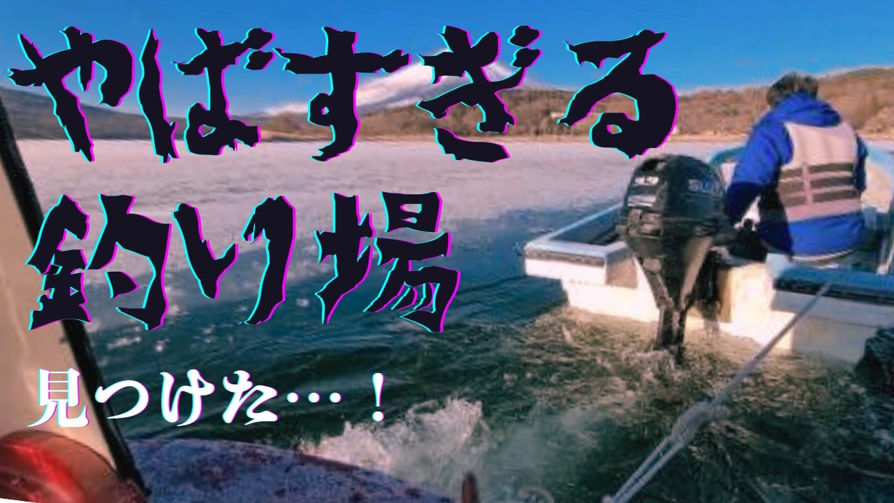 【魚が…】水の中を覗き込むと魚がウジャウジャ湧いてきた【山中湖】