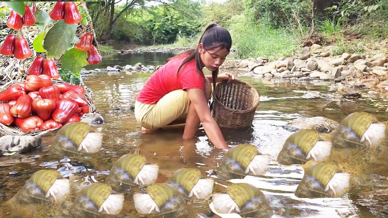 Catch and cook snails for jungle food Snail boiled with Chili sauce