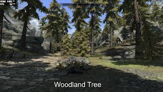 Skyrim Tree mod FPS comparison - Performance Friendly Trees