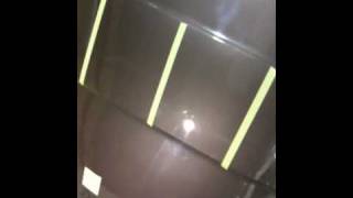 IMG 0502