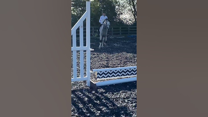 I nearly fell off 🤣 #horse #equestrian #horses #horselover #equine #showjumping #horseriding