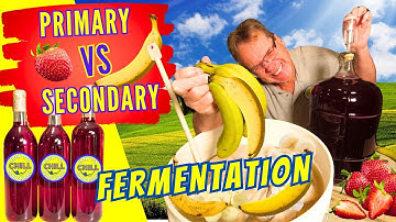 Wine Primary and Secondary Fermentation - Everything You Need To Know About Making Wine