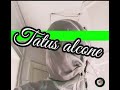 Tatus alcone 