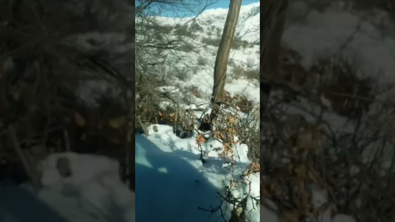 ‪@ismayillirayonu‬