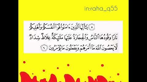(يَا أَيُّهَا الَّذِينَ آمَنُوا قُوا أَنْفُسَكُمْ وَأَهْلِيكُمْ نَارًا) _ تلاوة : سعد الكلثم