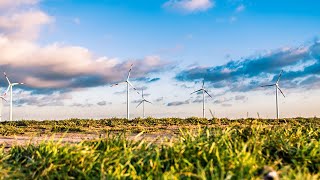 What really makes a difference? The role of resource efficiency in mitigating climate change