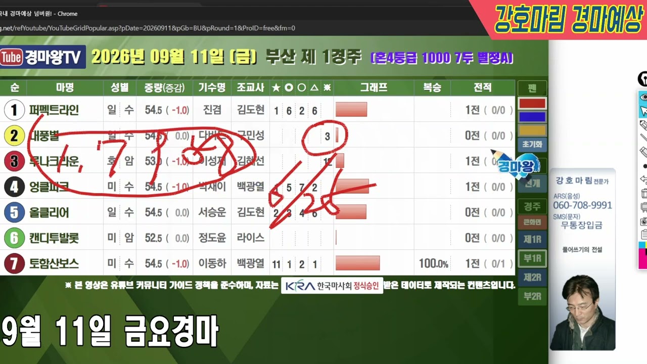 2026 년 9 월 11 일 금요경마예상