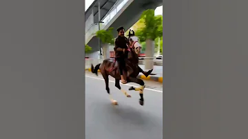 Horse Runing Video Horse Race Video Shorts Animal Horse 