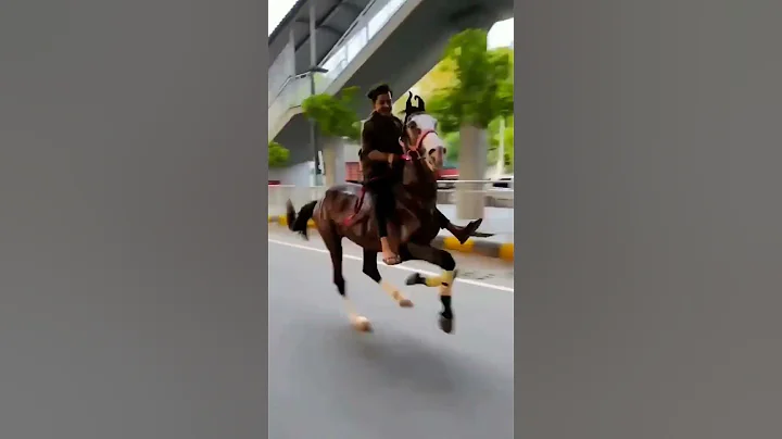 horse runing video || horse race video || #shorts #animal #horse - DayDayNews