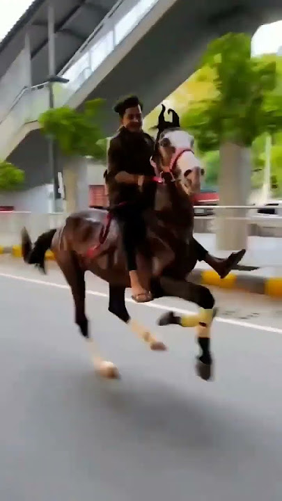 horse runing video || horse race video || #shorts #animal #horse