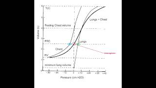 Lung & Chest Wall - Physiology & Compliance
