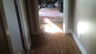 IPhone 6 auto focus