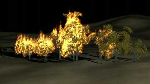 Grove of Trees on Fire with Smoke Framework